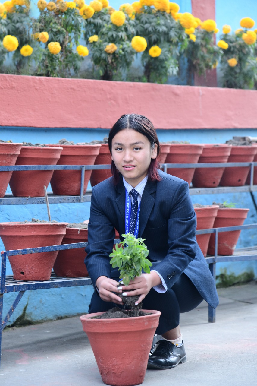 Aastha Shrestha